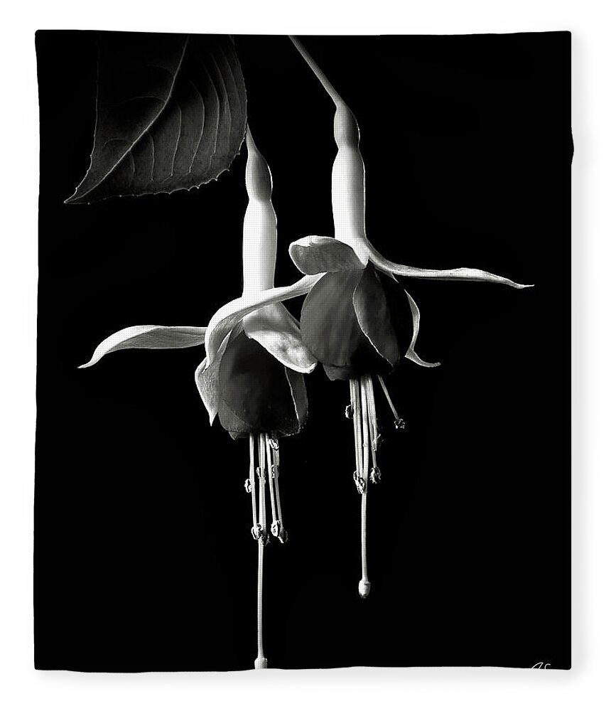Flower Fleece Blanket featuring the photograph Fuchsias in Black and White by Endre Balogh