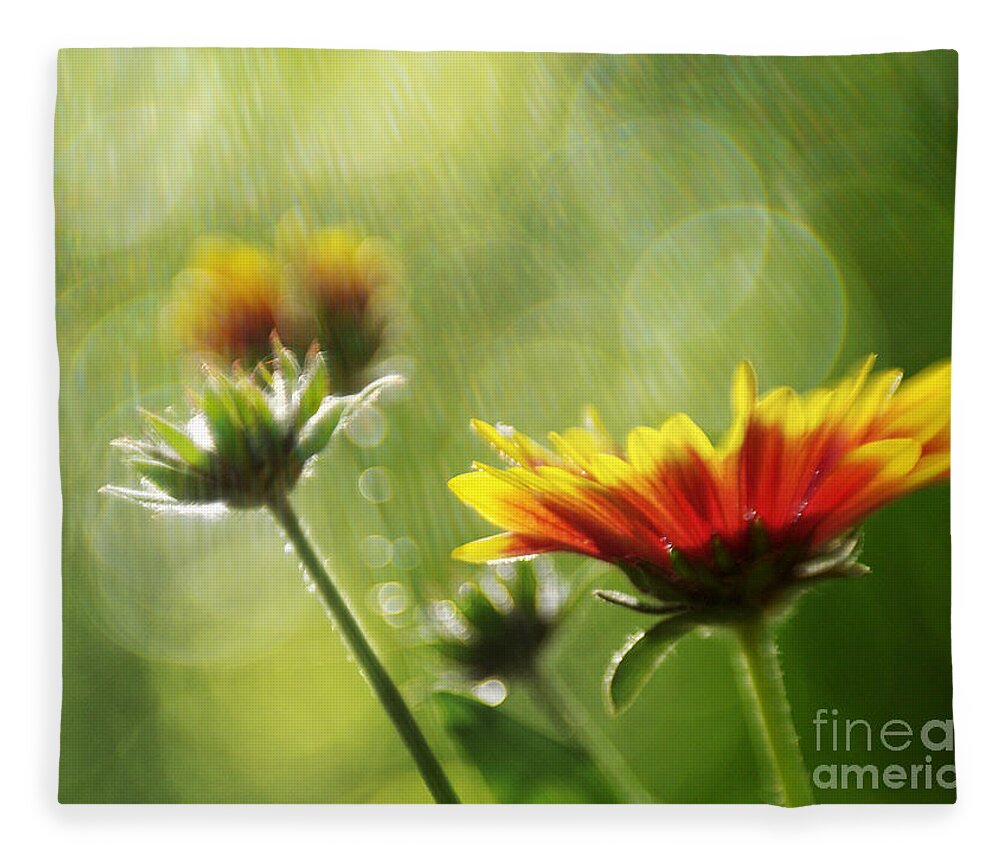 Flowers Fleece Blanket featuring the photograph Gaillardia After The Rain by Dorothy Lee