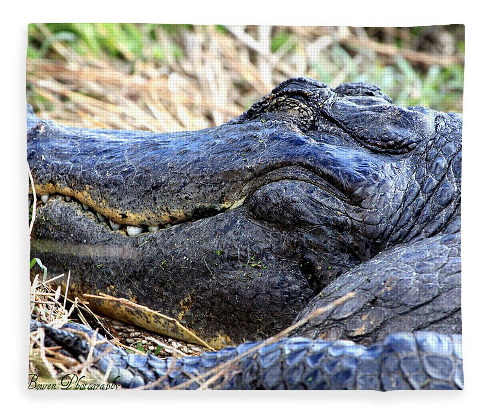 American Alligator Fleece Blanket featuring the photograph Gator Head by Barbara Bowen