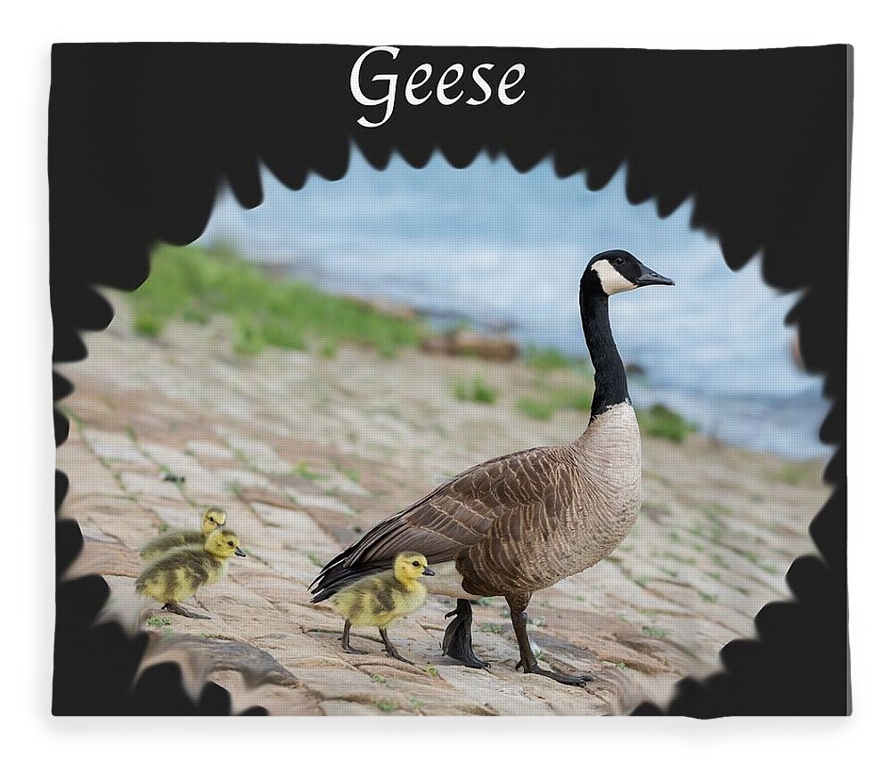 Geese Fleece Blanket featuring the photograph Geese in the Clouds by Holden The Moment