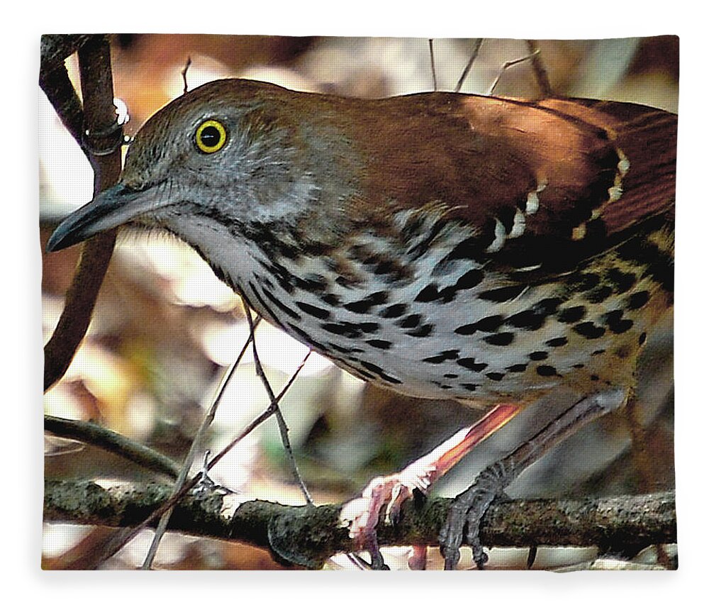 Brown Thrasher Fleece Blanket featuring the digital art Georgia State Bird by DigiArt Diaries by Vicky B Fuller