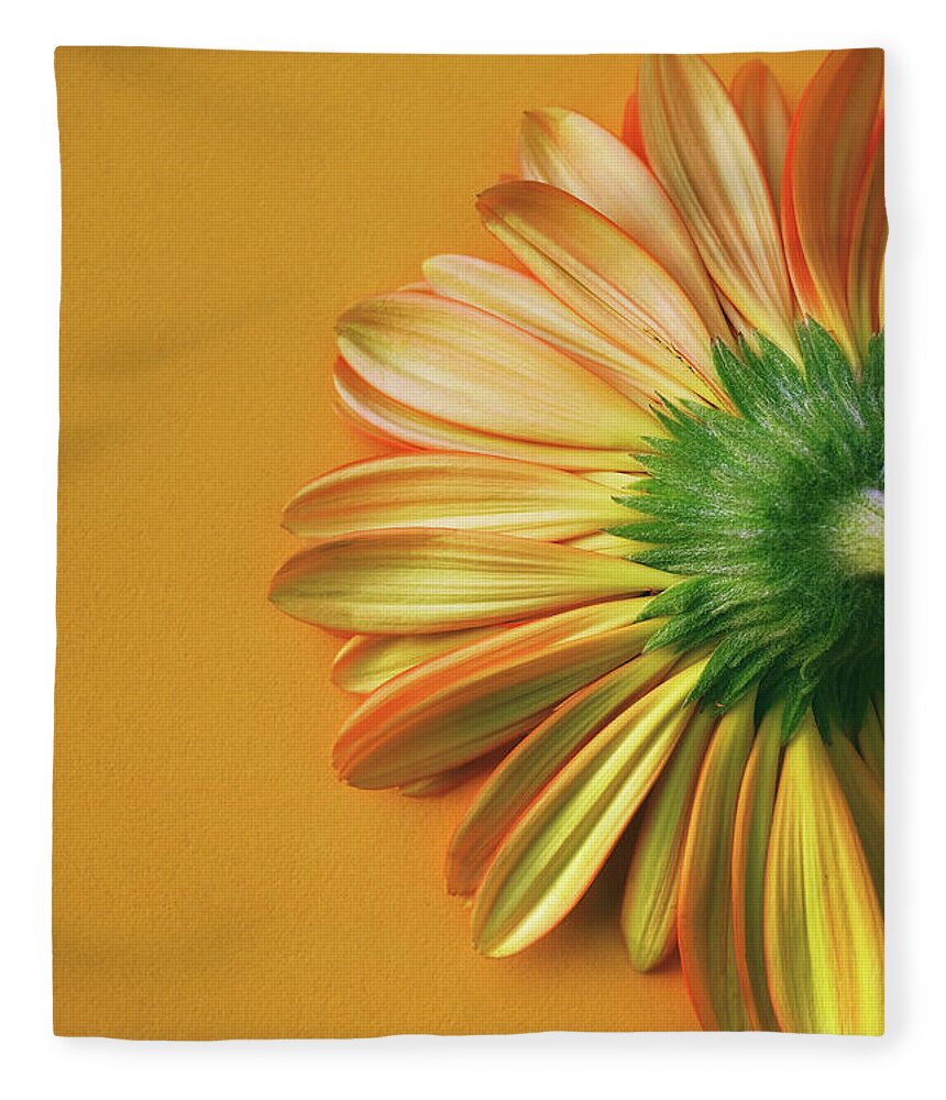 Back Side Fleece Blanket featuring the photograph Gerbera Back by Carlos Caetano