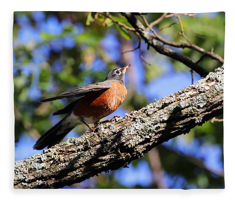 American Robin Fleece Blanket featuring the photograph Get Down and Boogie by Jennifer Robin