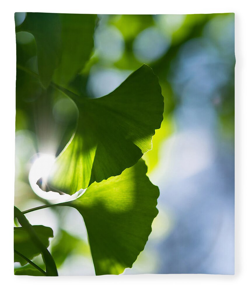 Da*55 1.4. Nature Fleece Blanket featuring the photograph Gingko Leaves in the Sun by Lori Coleman