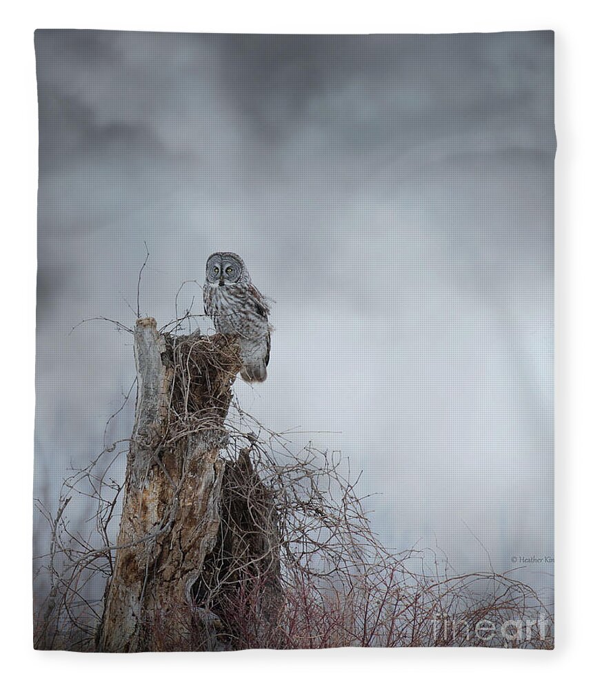 Owls Fleece Blanket featuring the photograph Gloomy Sunday by Heather King