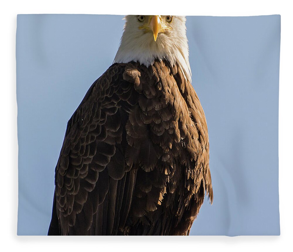 Bald Eagle Fleece Blanket featuring the photograph Glory by David Kirby