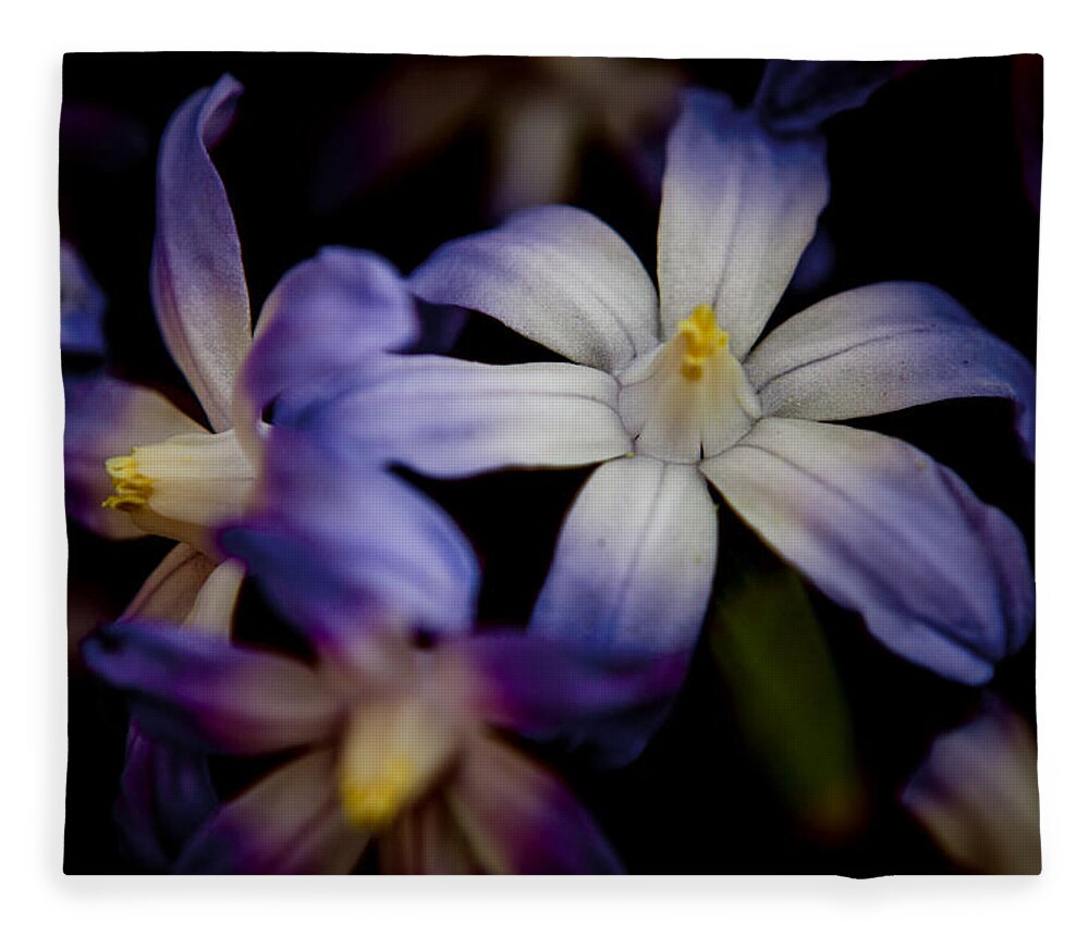 Glory Of The Snow Fleece Blanket featuring the photograph Glory Of The Snow by Spikey Mouse Photography