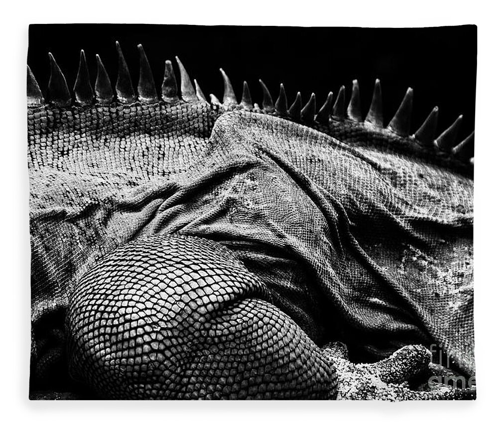 Godzilla Fleece Blanket featuring the photograph Gojira by Jonas Luis