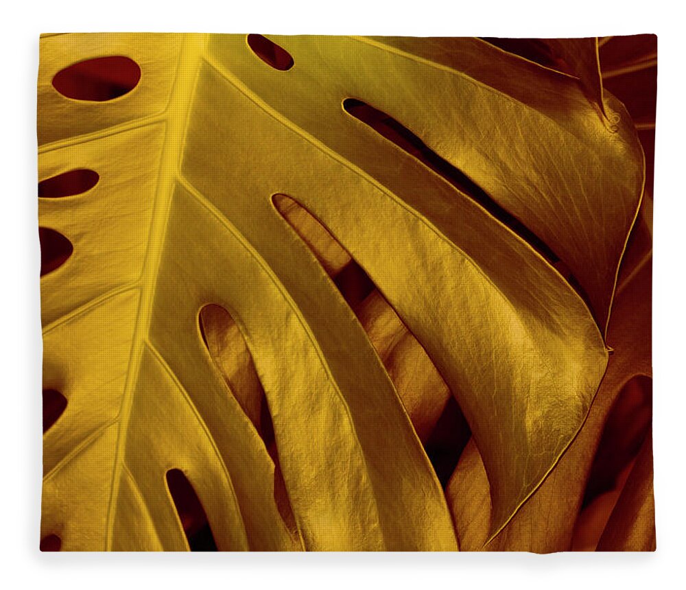 Desert Forest And Garden Fleece Blanket featuring the digital art Gold Leaf by Becky Titus