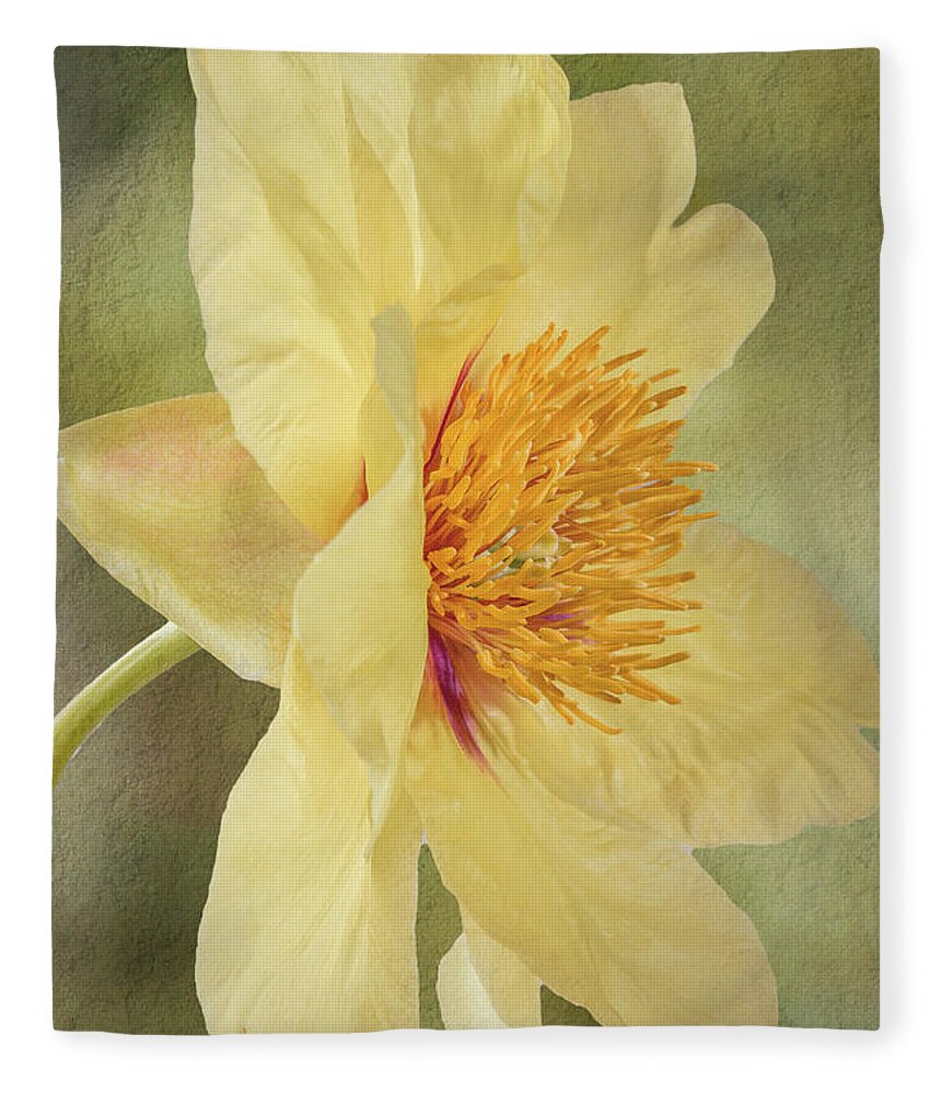 Peony Fleece Blanket featuring the photograph Golden Bowl Tree Peony Bloom - Profile by Patti Deters