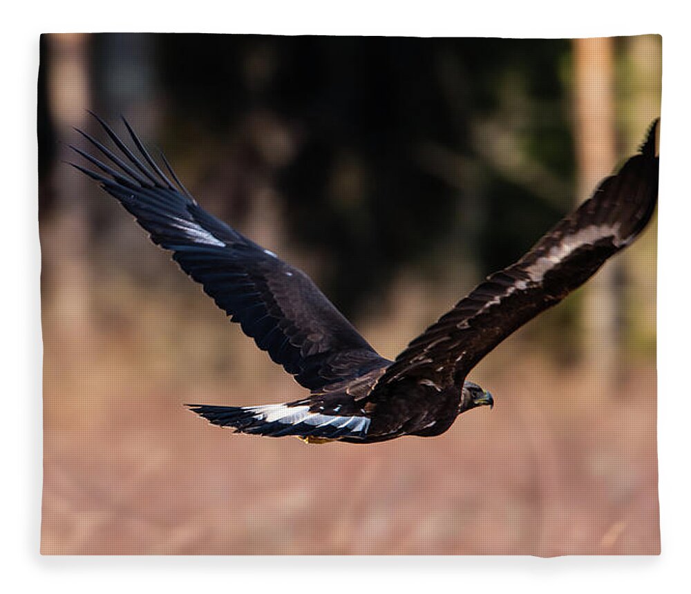 Golden Eagle Fleece Blanket featuring the photograph Golden Eagle flying by Torbjorn Swenelius