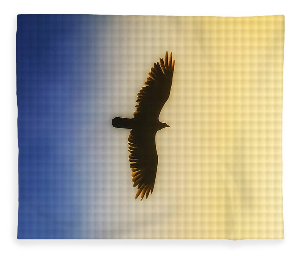 Golden Eagle Fleece Blanket featuring the photograph Golden Eagle Over Friday Harbor by Juli Ellen