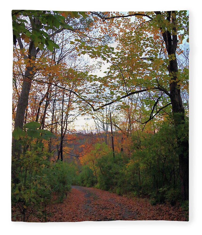 Golden Hour Of Autumn Fleece Blanket featuring the photograph Golden Hour of Autumn by PJQandFriends Photography