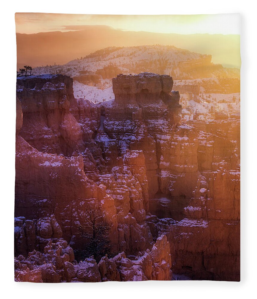 Bryce Fleece Blanket featuring the photograph Golden Moment by Nicki Frates