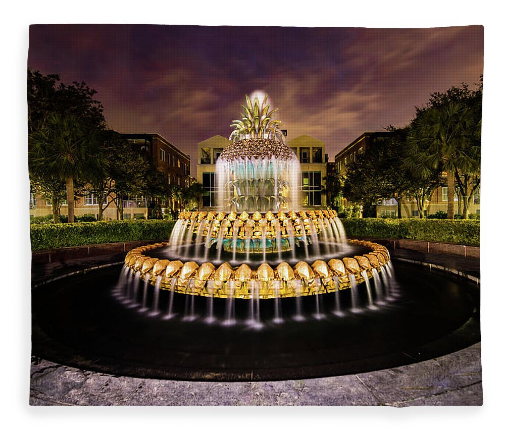 Pineapple Fountain Fleece Blanket featuring the photograph Luminescence 1 by Norma Brandsberg