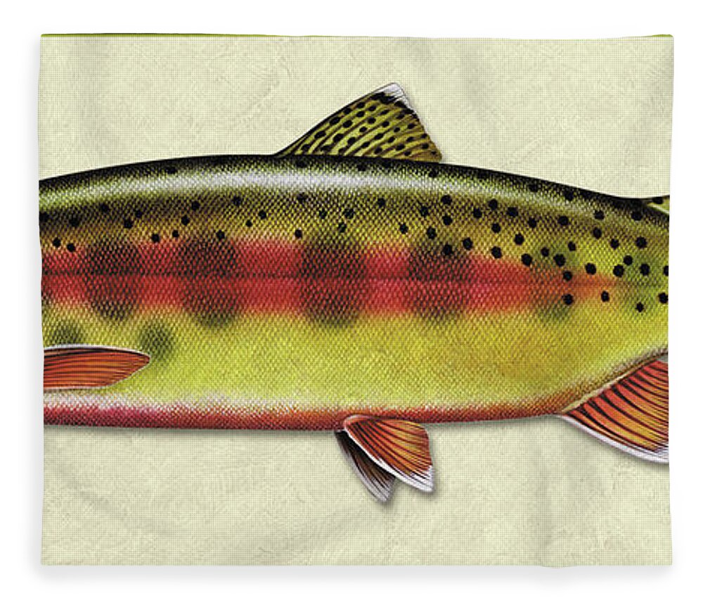 Jon Q Wright Fish Id Print Golden Trout Flyfishing Fly Freshwater Fleece Blanket featuring the painting Golden trout ID by Jon Q Wright