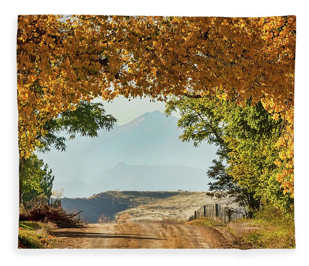 Roads Fleece Blanket featuring the photograph Golden Tunnel Of Love by James BO Insogna