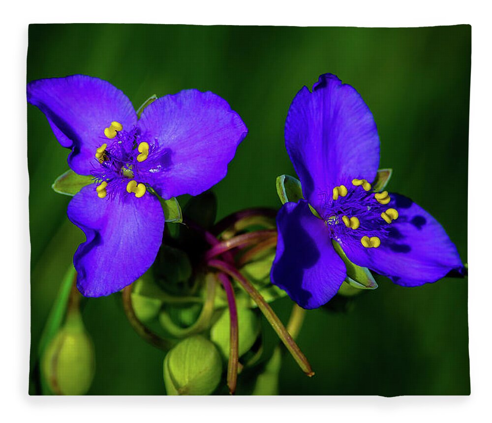 Flower Fleece Blanket featuring the photograph Good Morning Goodbye by Jeff Phillippi