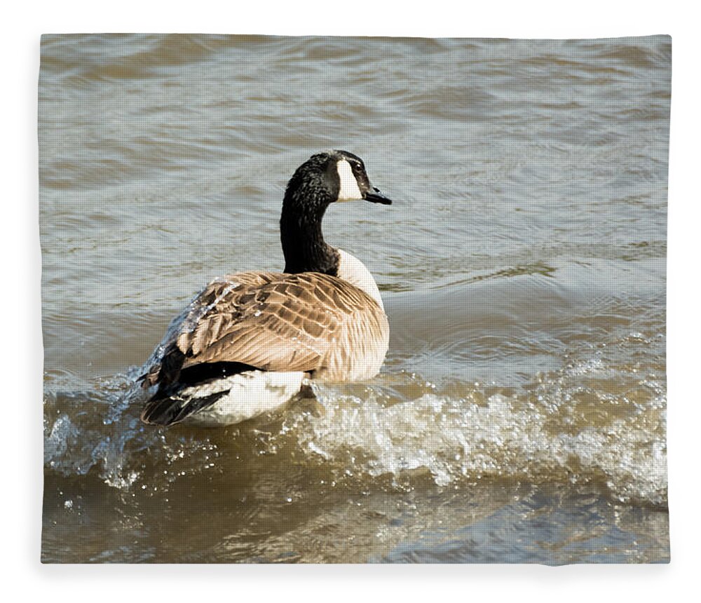 Goose Fleece Blanket featuring the photograph Goose Rides A Wave by Holden The Moment