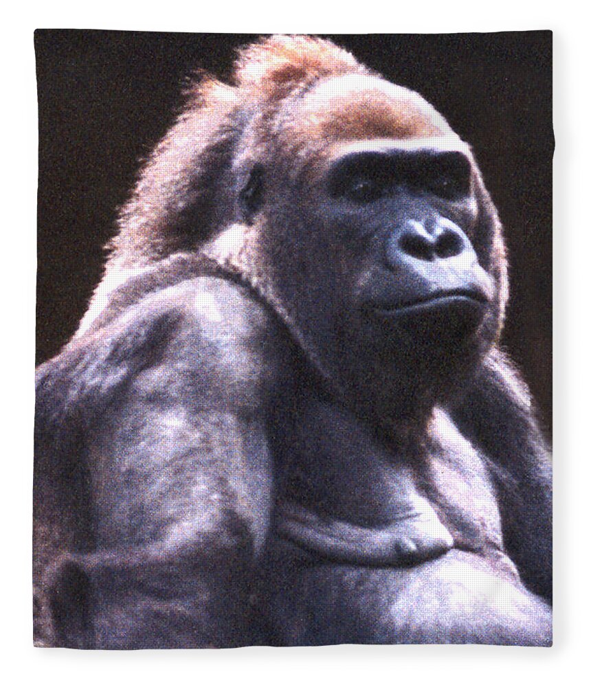 Gorilla Fleece Blanket featuring the photograph Gorilla by Steve Karol