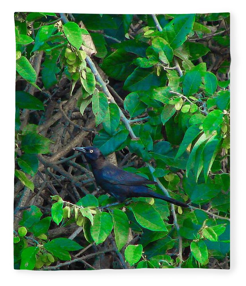 Bird Fleece Blanket featuring the photograph Grackle by Carl Moore