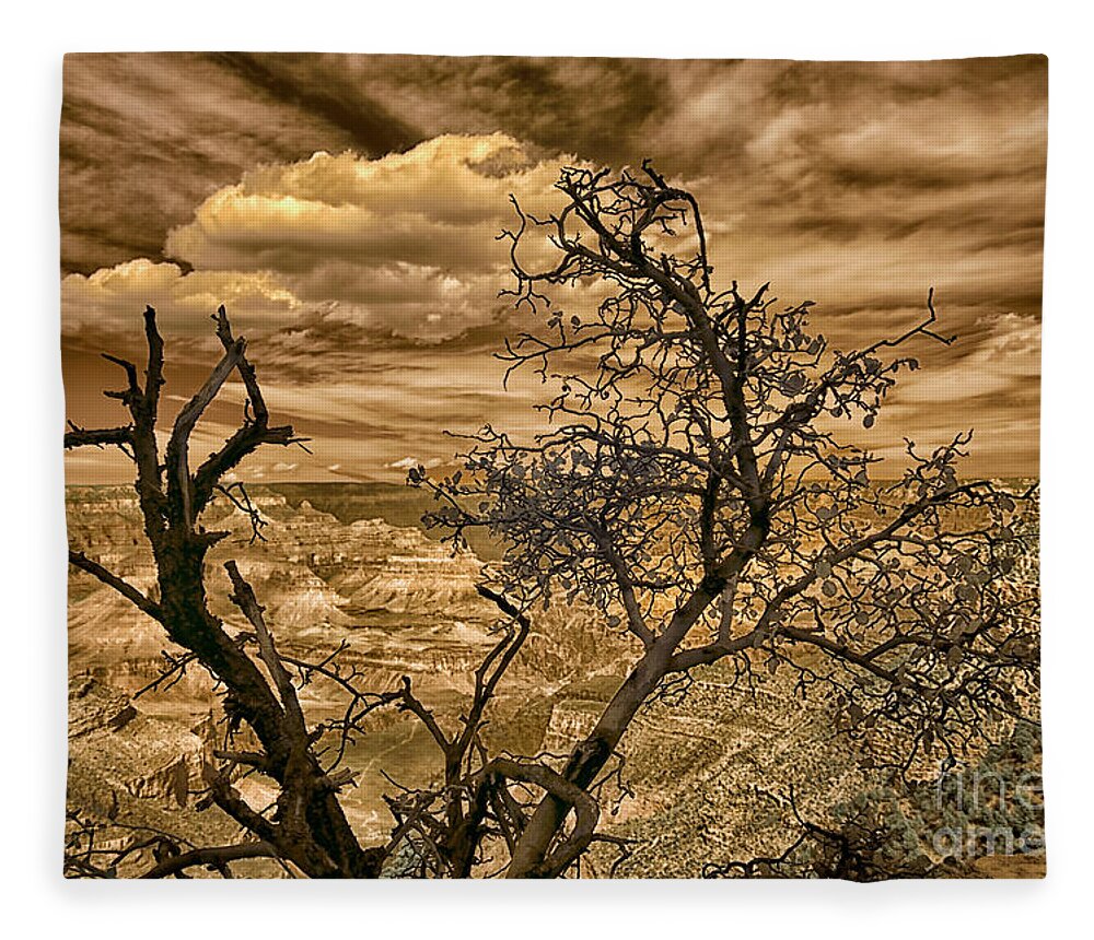 Travel Photography Fleece Blanket featuring the photograph Grand Canyon Drama in Infrared by Norman Gabitzsch