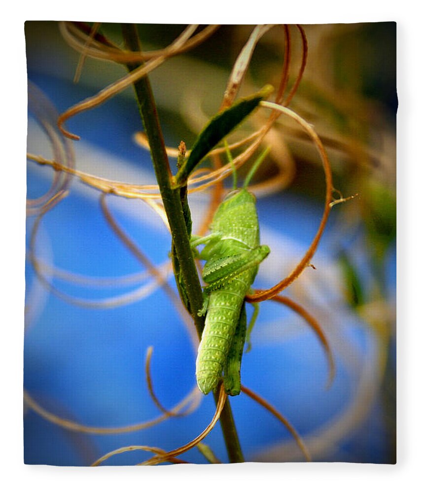 Grasshopper Fleece Blanket featuring the photograph Grassy Hopper by Chris Brannen