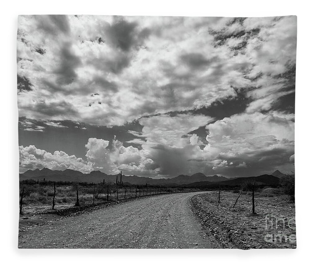 Landscape Fleece Blanket featuring the photograph Gravel by Becqi Sherman