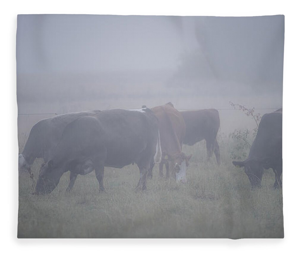 Cows Fleece Blanket featuring the photograph Grazing cows in the mist by Torbjorn Swenelius