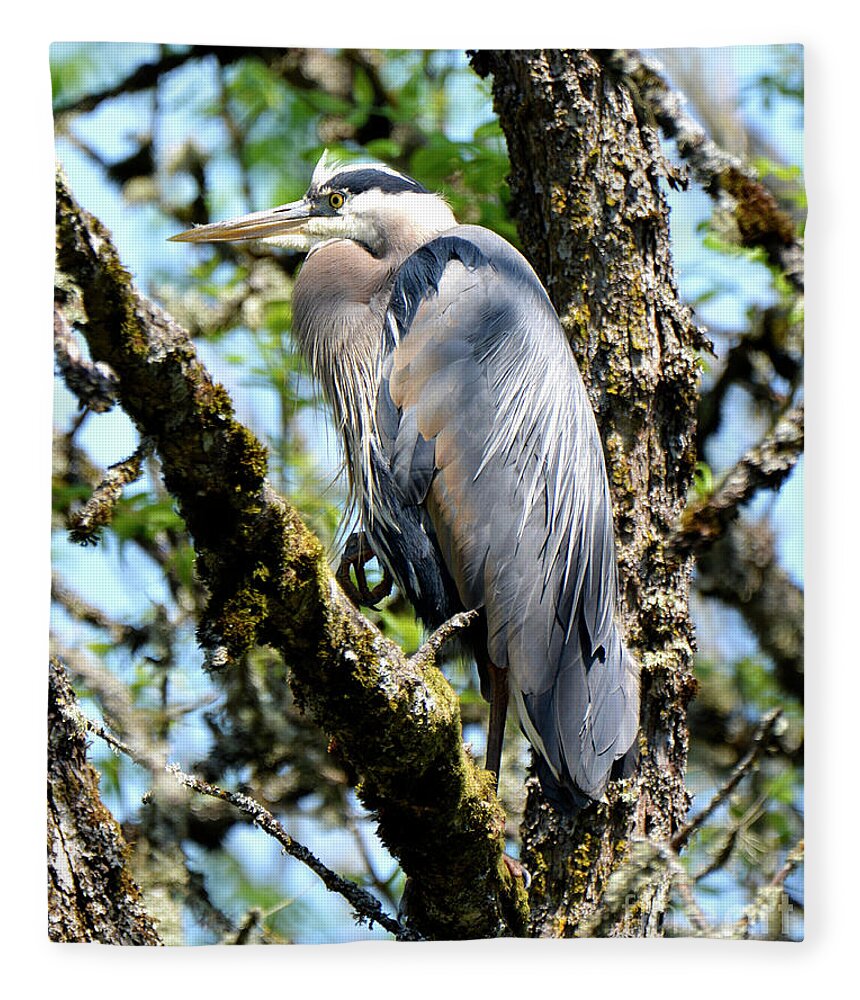 Denise Bruchman Fleece Blanket featuring the photograph Great Blue Heron in a Tree by Denise Bruchman