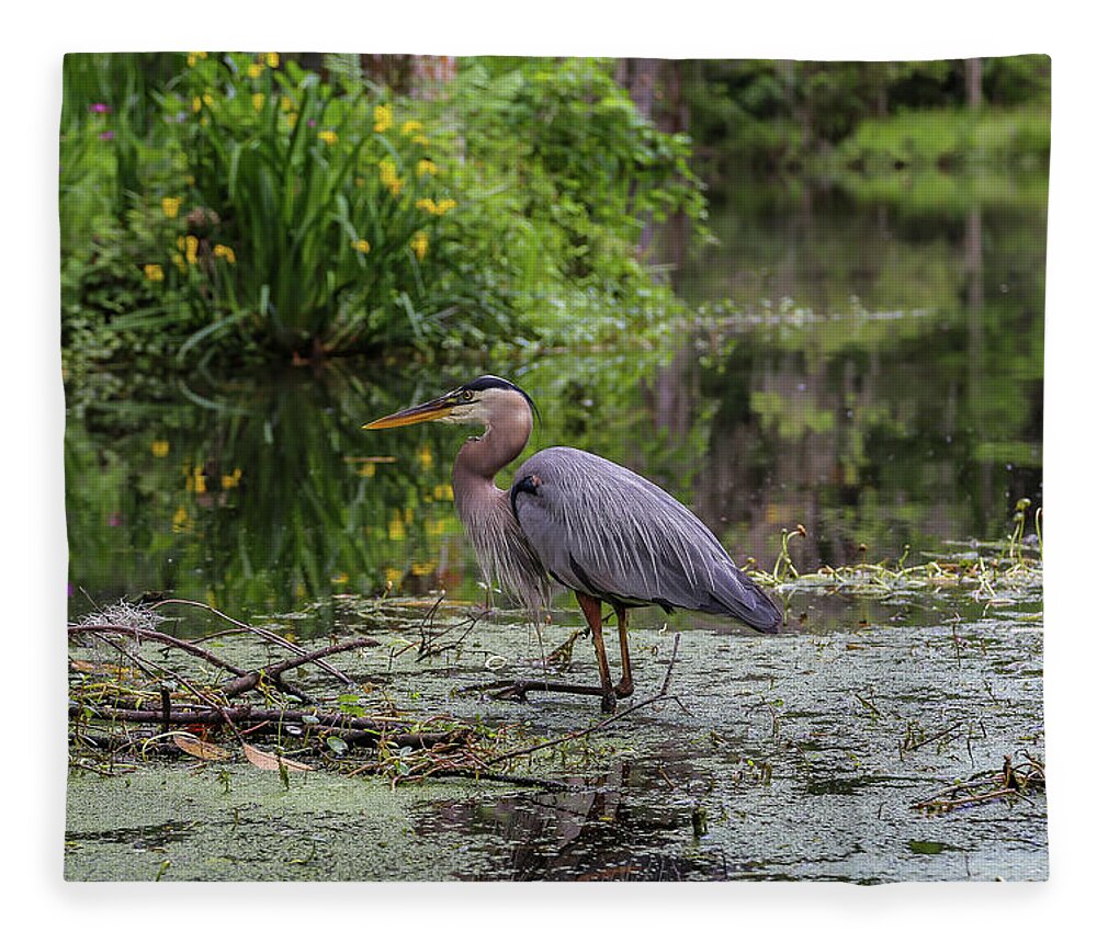 Waterfowl Fleece Blanket featuring the photograph Great Blue Heron by Kevin Craft