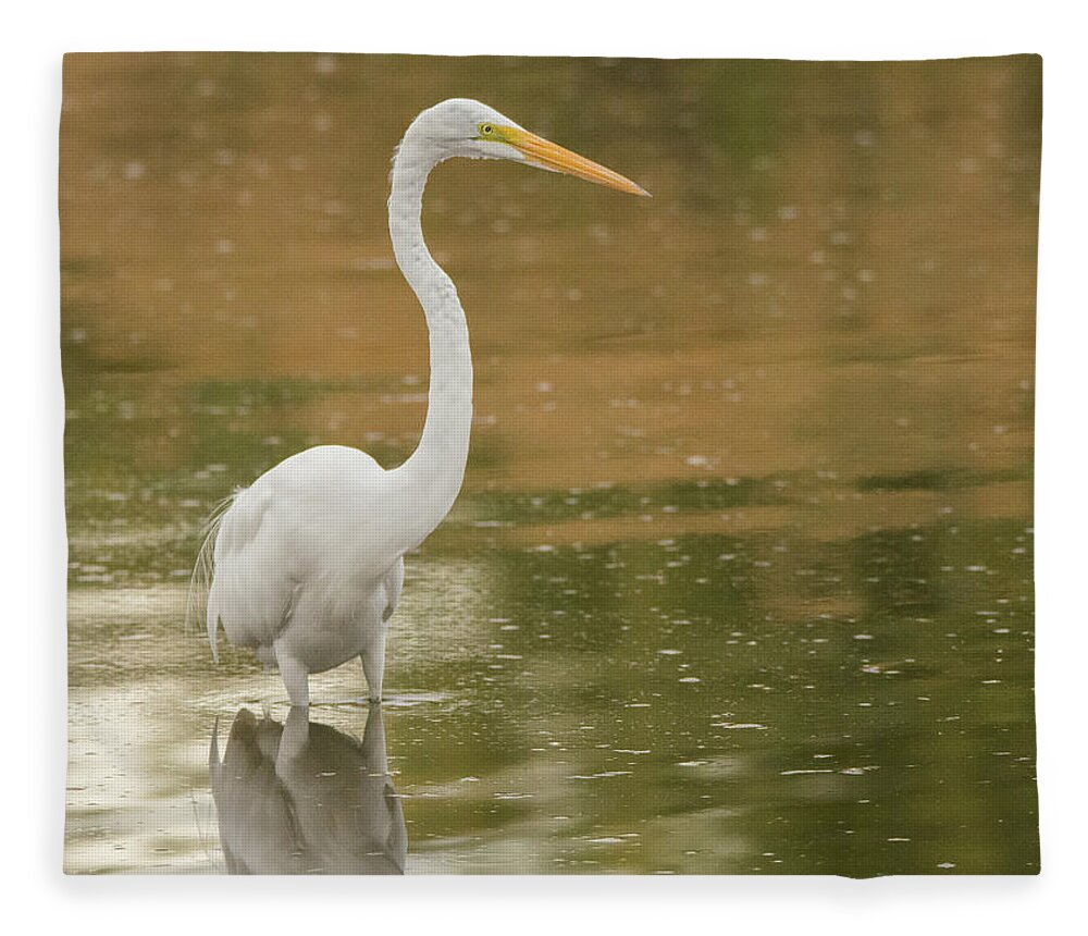 Great Egret Fleece Blanket featuring the photograph Great Egret 5788-112717-1cr by Tam Ryan