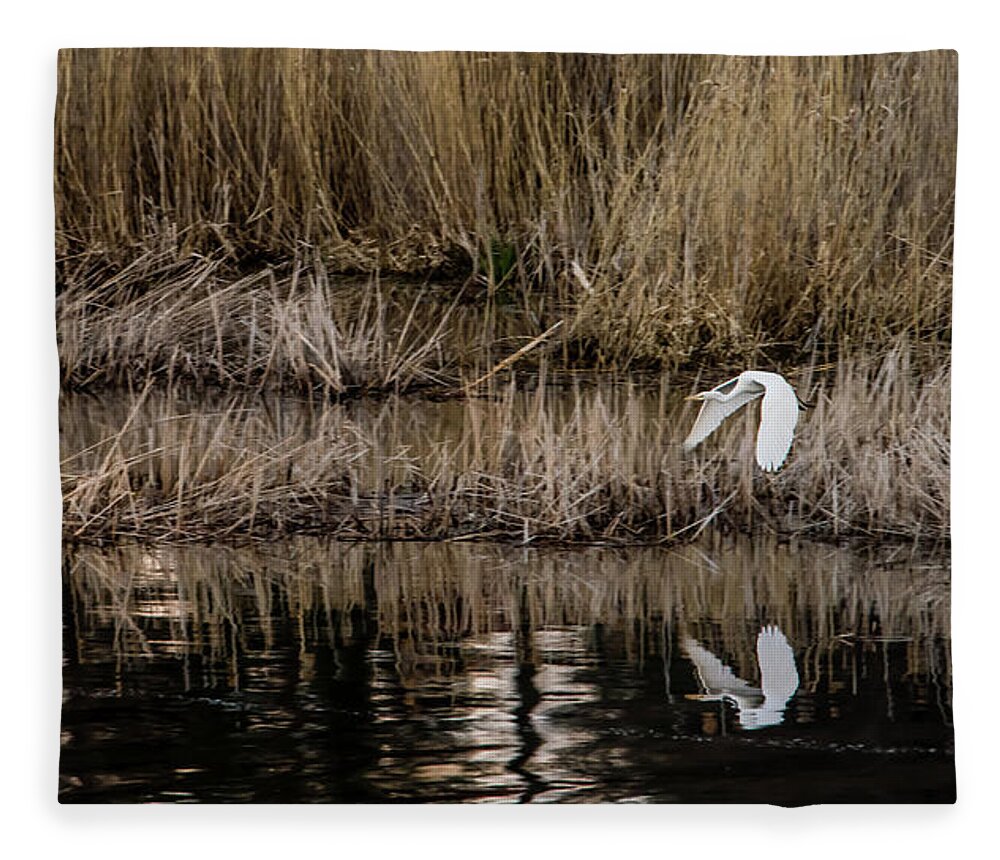 Great Egret Fleece Blanket featuring the photograph Great Egret's flight to a new position by Torbjorn Swenelius