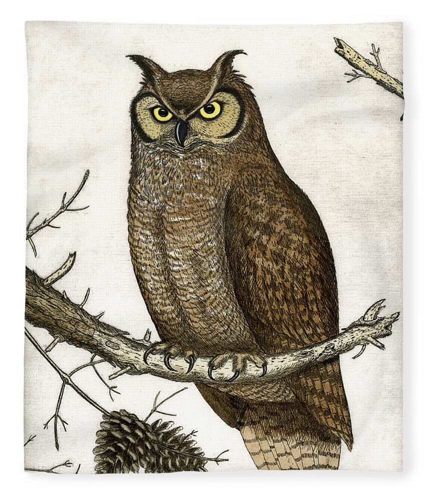 Etching Fleece Blanket featuring the painting Great Horned Owl by Charles Harden