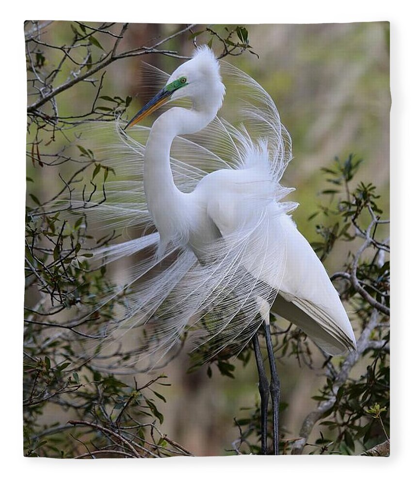 Great White Egret Fleece Blanket featuring the photograph Great White Egret IV by Carol Montoya