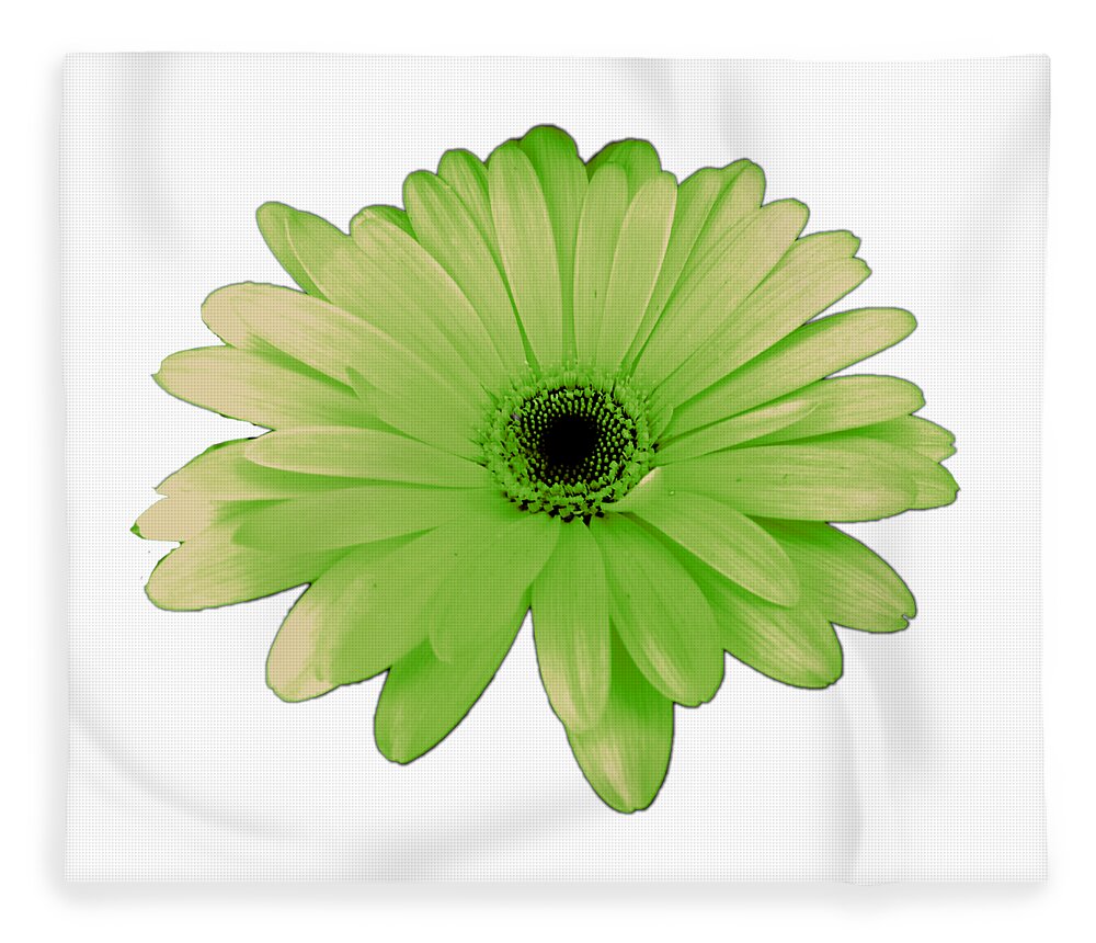 Digital Art Fleece Blanket featuring the photograph Green Daisy Flower by Delynn Addams
