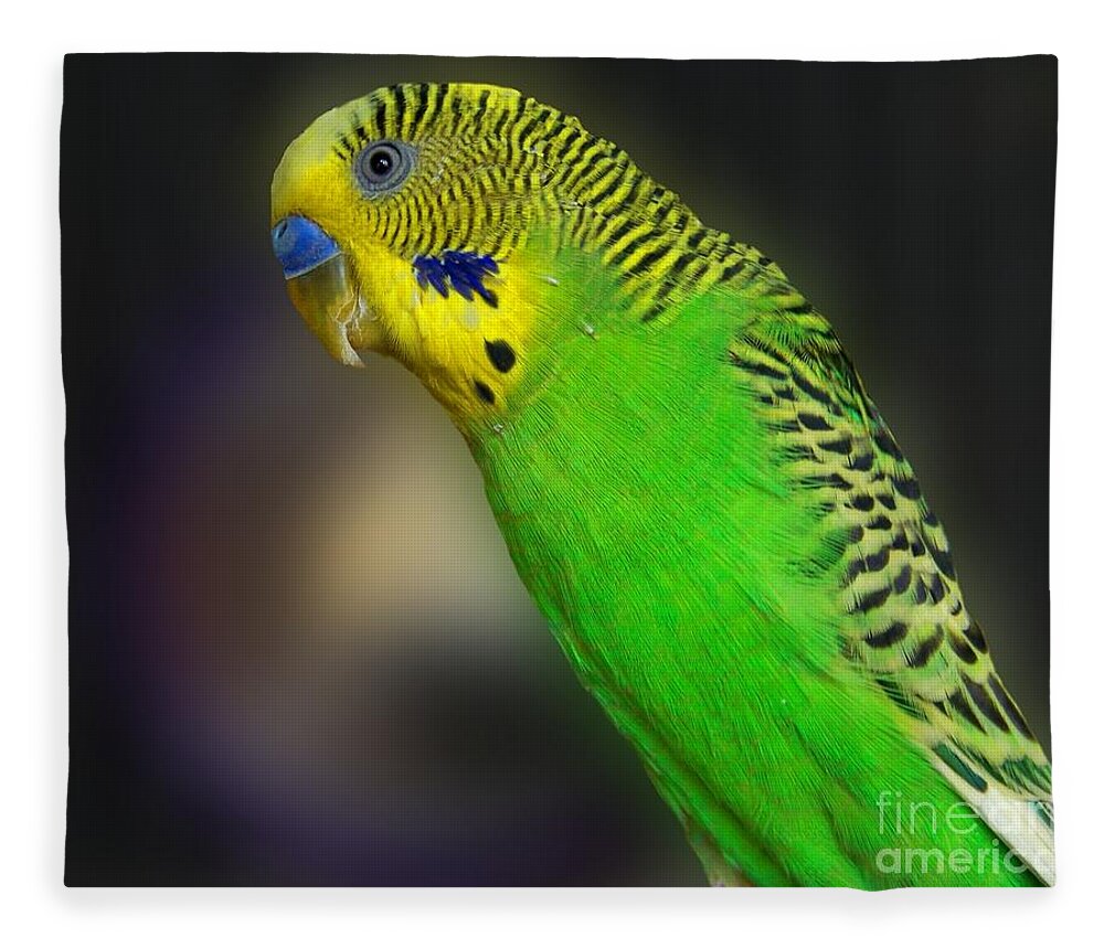 Bird Fleece Blanket featuring the photograph Green Parakeet Portrait by Jai Johnson