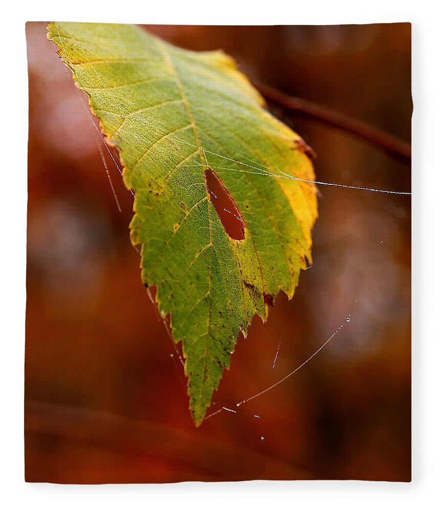 Leaves Fleece Blanket featuring the photograph Green Silk by Linda McRae