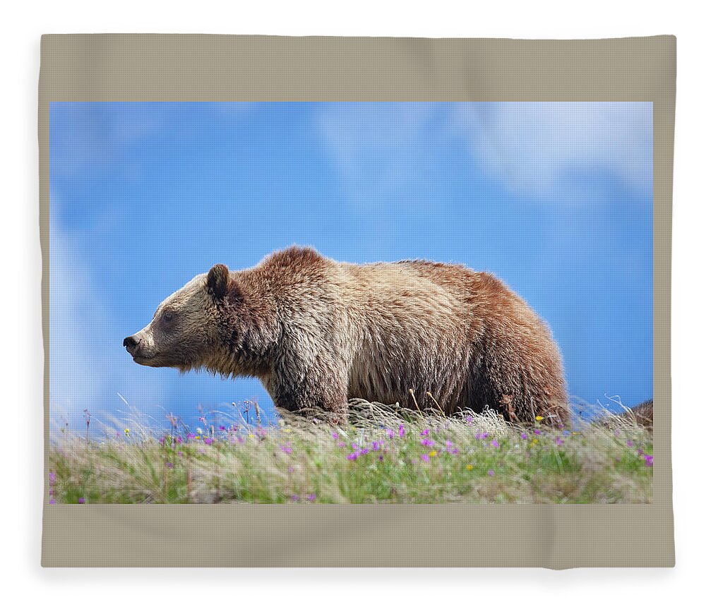 Mark Miller Photos Fleece Blanket featuring the photograph Grizzly and Blue Sky by Mark Miller