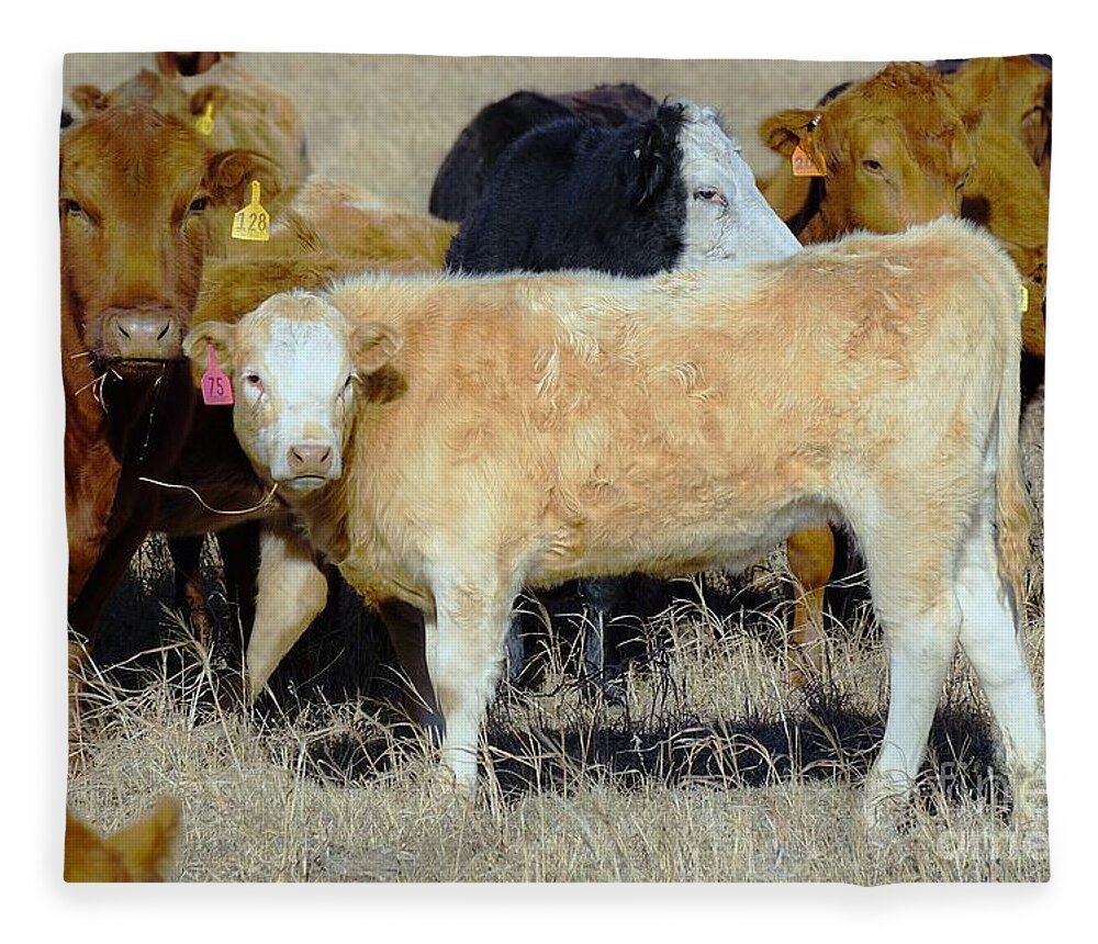 Calf Fleece Blanket featuring the photograph Growing up by Merle Grenz