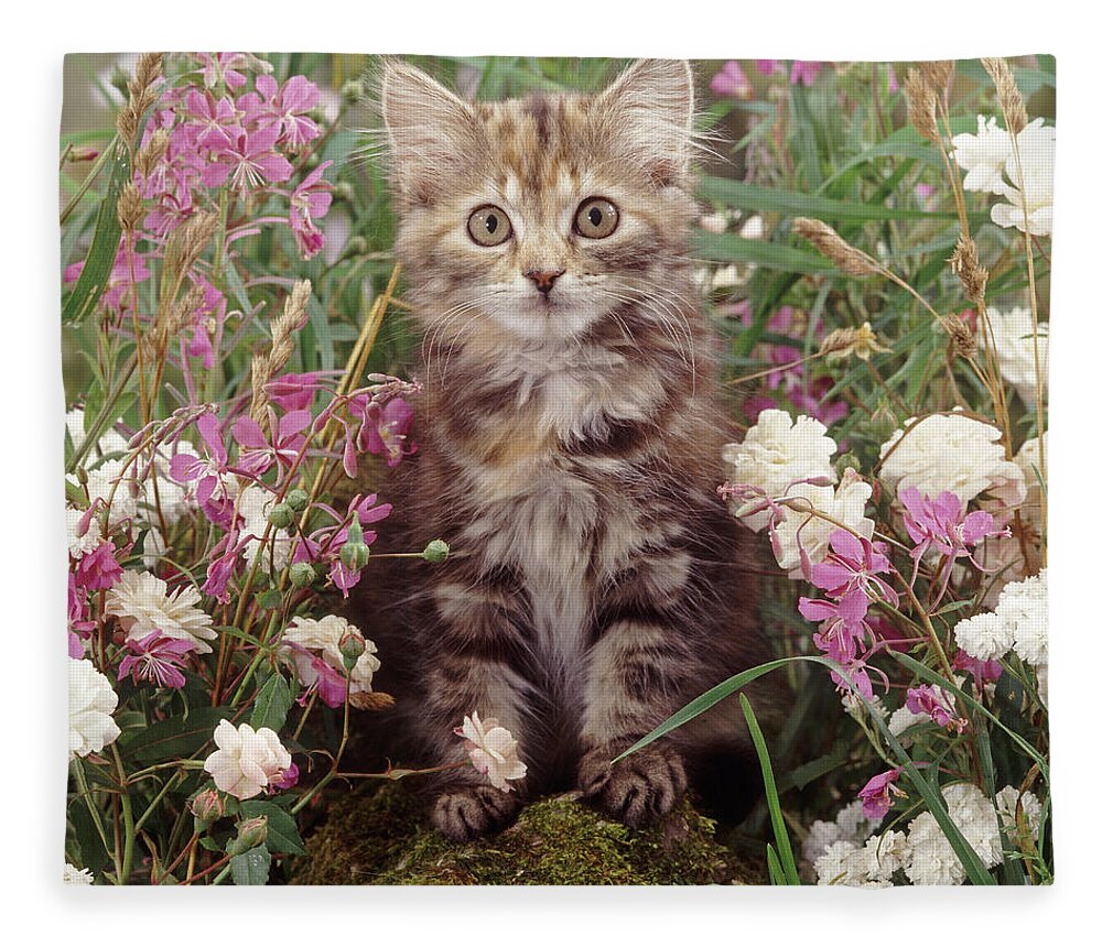 Fluffy Fleece Blanket featuring the photograph Guarding the Garden by Warren Photographic