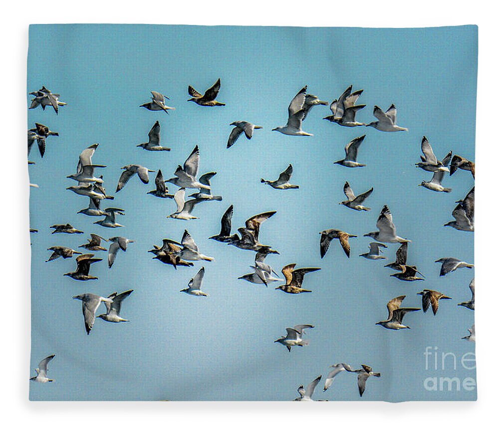 Seagulls Fleece Blanket featuring the photograph Gulls in Flight by Randy J Heath