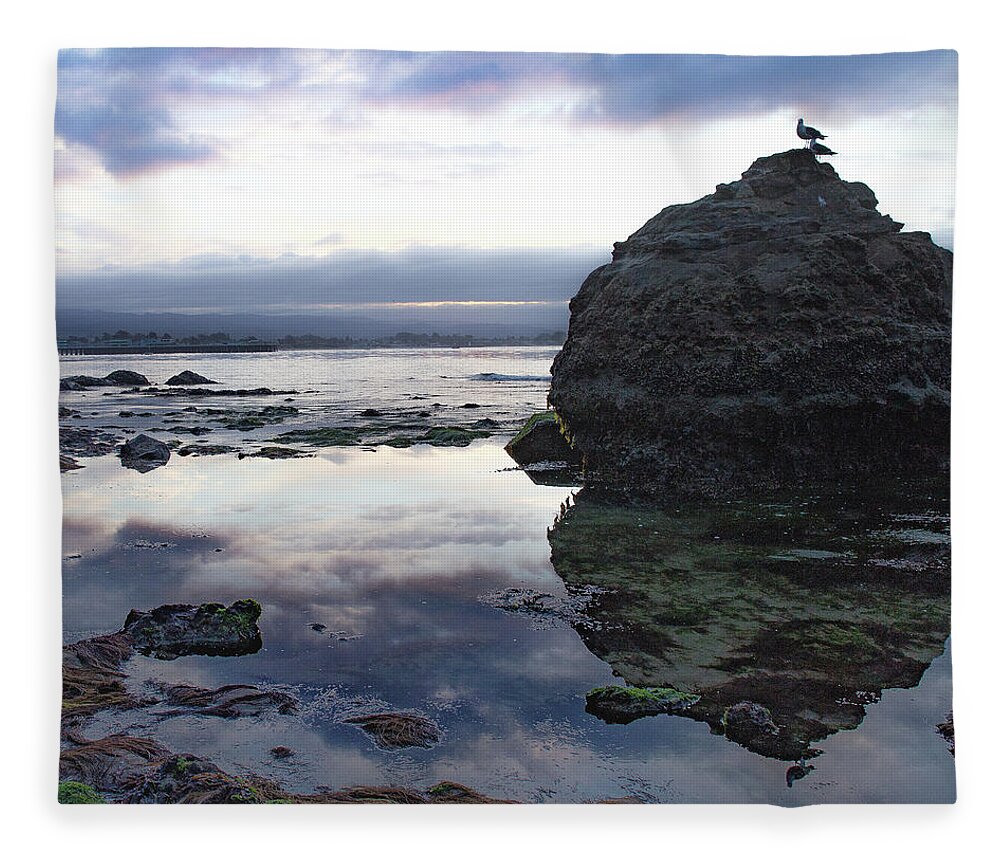 Seascape Fleece Blanket featuring the photograph Gulls with Clouds by Lora Lee Chapman