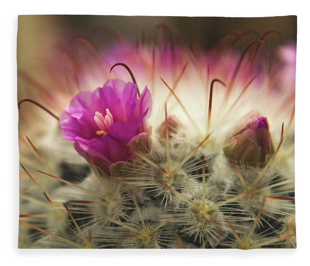 Cactus Fleece Blanket featuring the photograph Handle with Care by Holly Ross