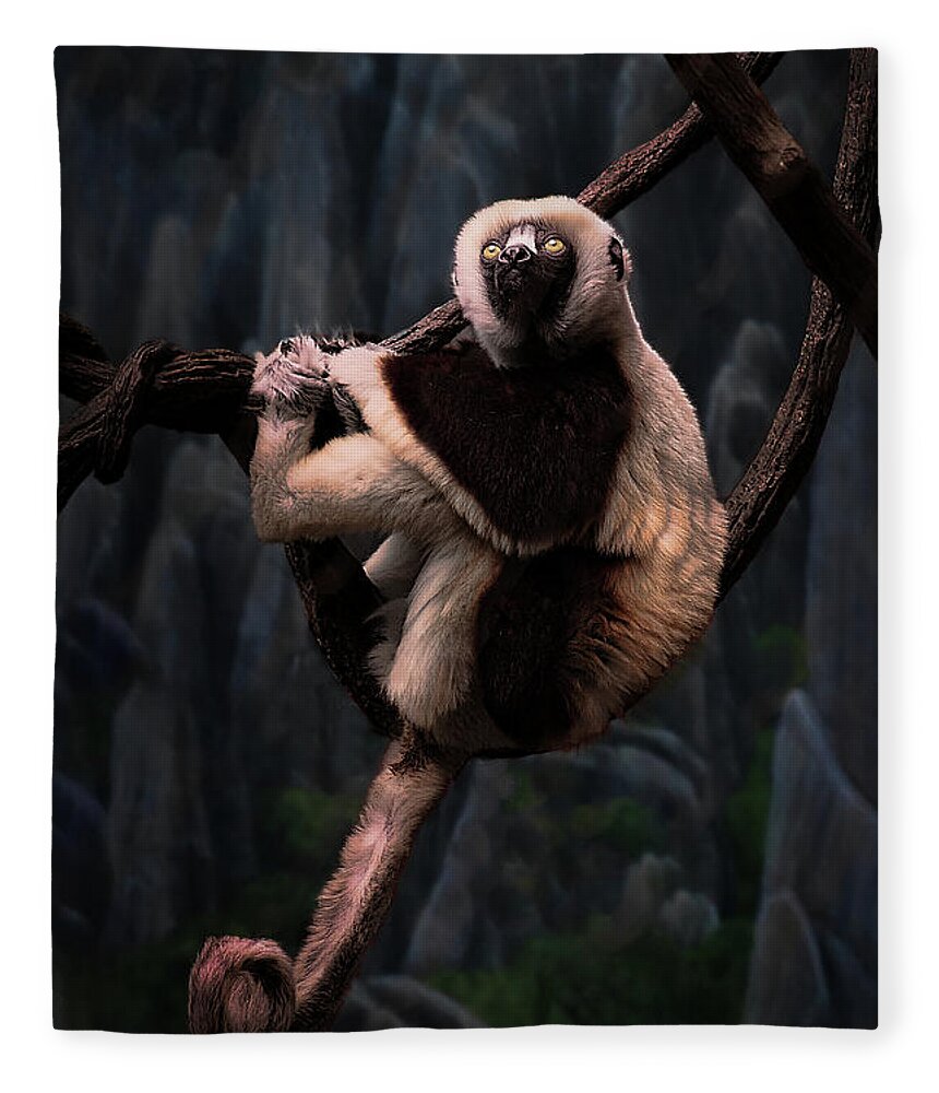 Monkey Fleece Blanket featuring the photograph Hanging On by Aleksander Rotner