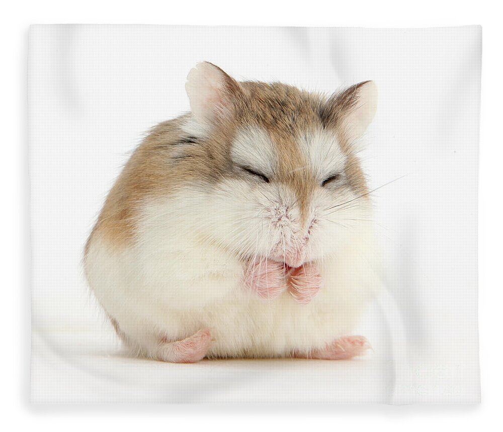 Roborovski Hamster Fleece Blanket featuring the photograph Happy Hammy by Warren Photographic
