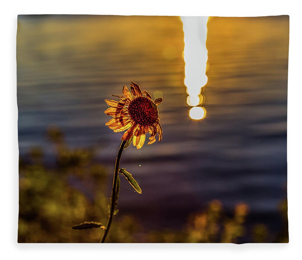 Flower Fleece Blanket featuring the photograph Happy Sunday by Joe Holley