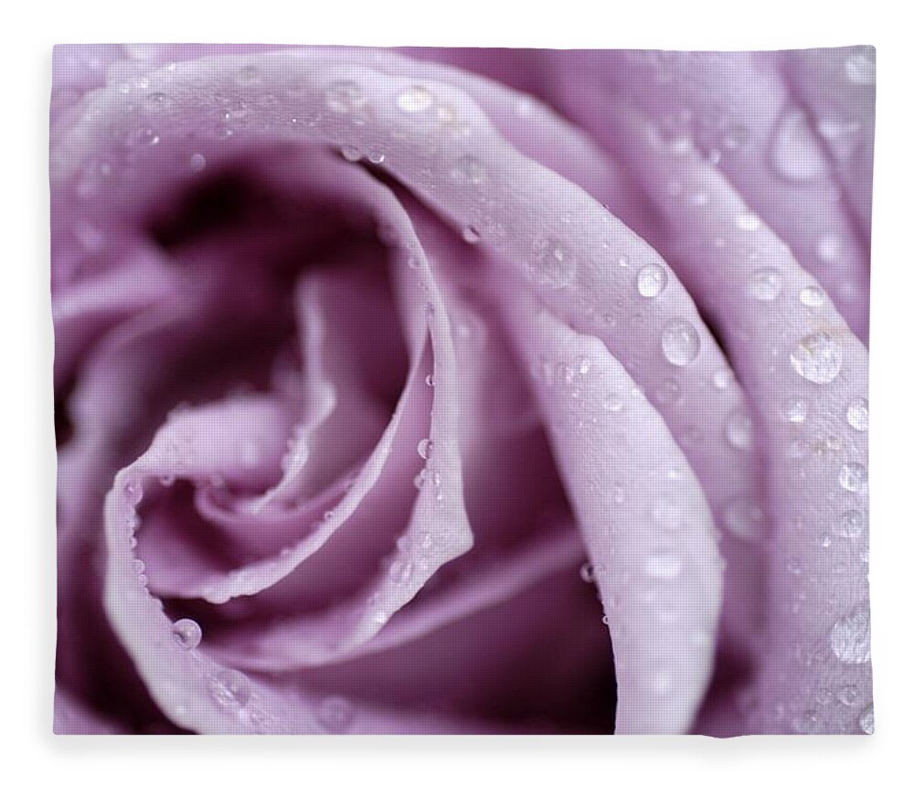 Rose Fleece Blanket featuring the photograph Harmony by DArcy Evans