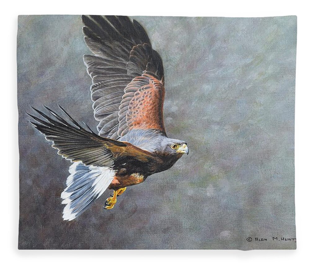 Harris Hawk Fleece Blanket featuring the painting Harris Hawk in Flight by Alan M Hunt