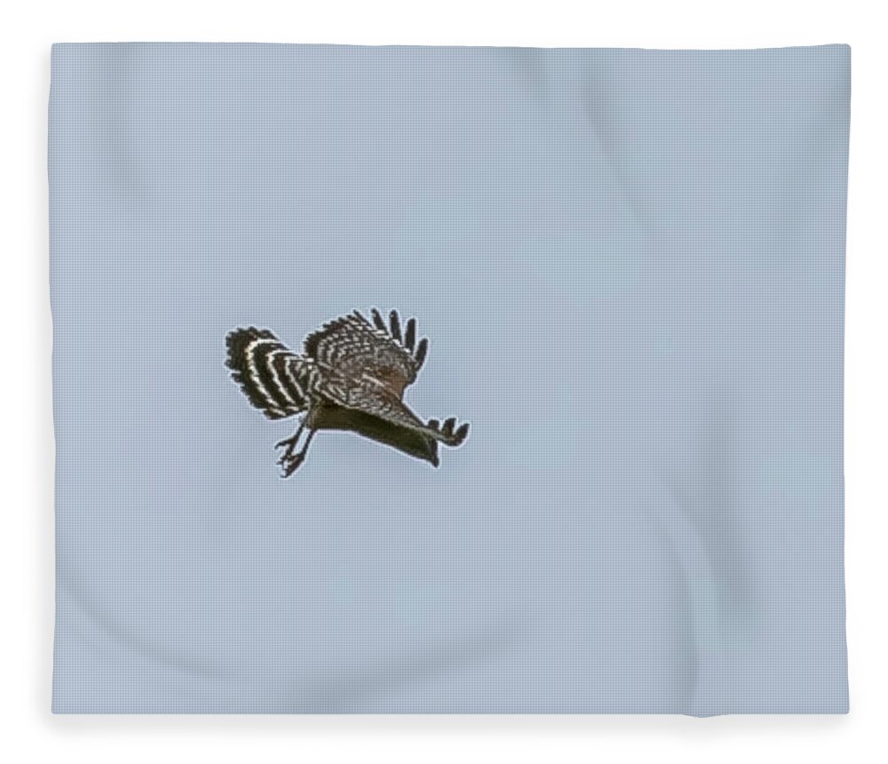 Hawk Fleece Blanket featuring the digital art Hawk checking out birding neighborhood by Ed Stines